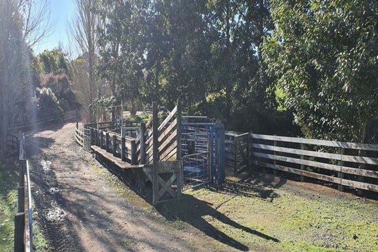 Photo of property in 18 Warren Road, Raglan, 3295