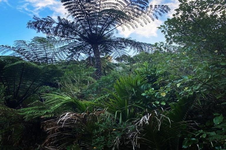 Photo of property in 1317 Abel Tasman Drive, Tata Beach, Takaka, 7183