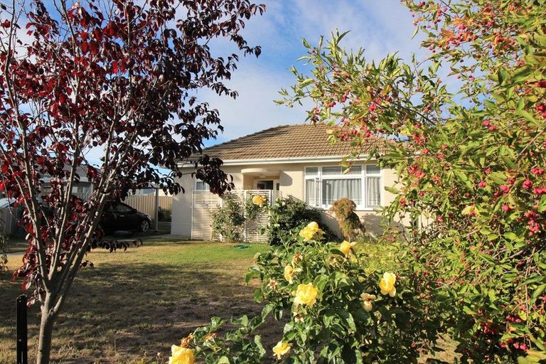 Photo of property in 43 Ventry Street, Alexandra, 9320