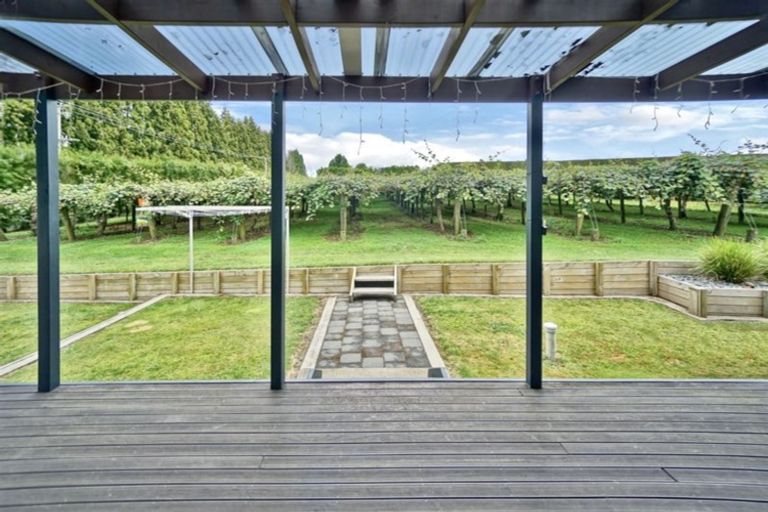 Photo of property in 882 Te Matai Road, Te Ranga, Te Puke, 3188