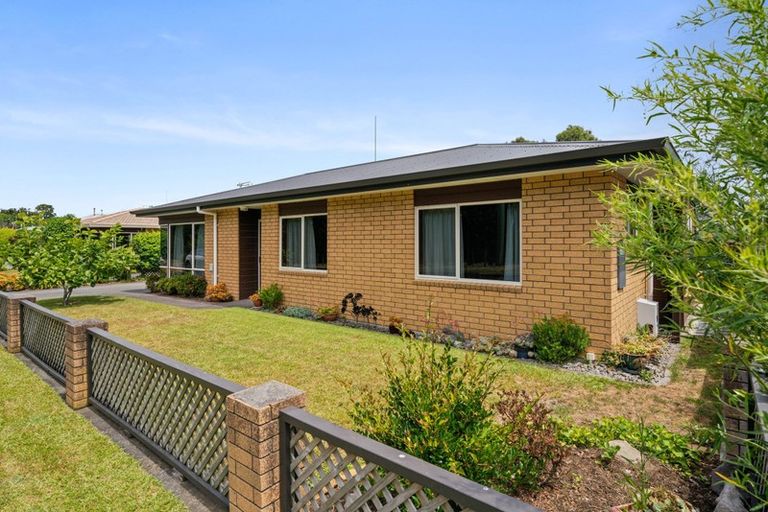 Photo of property in 13b Marshall Avenue, Greerton, Tauranga, 3112