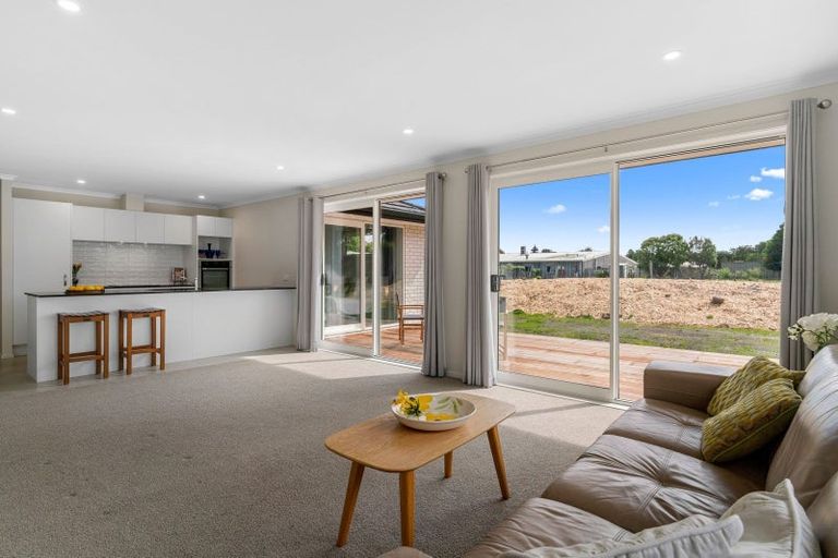 Photo of property in 46b Moir Street, Mangawhai, 0505