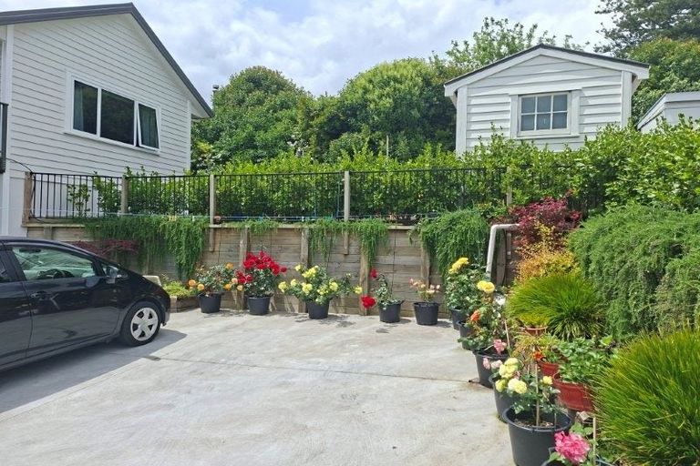 Photo of property in 204b The Terrace, Thames, 3500