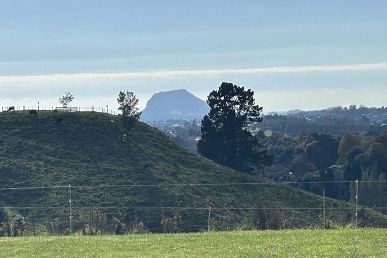 Photo of property in 55d Oliver Road, Minden, Tauranga, 3171