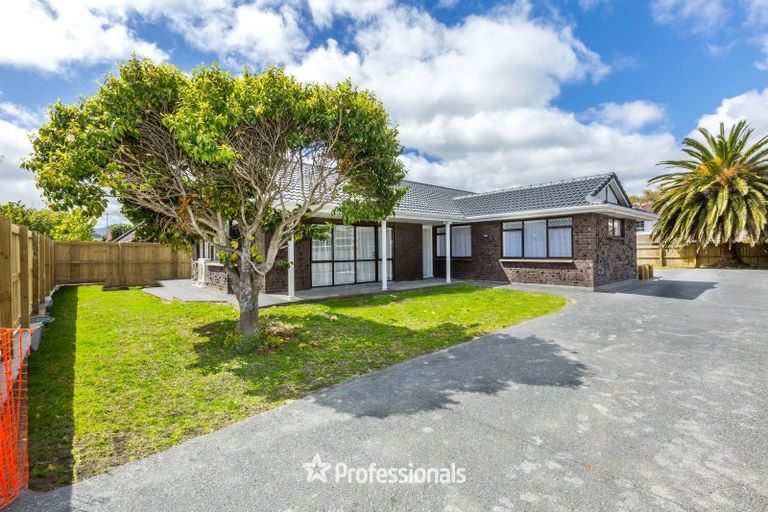Photo of property in 60 Mcparland Street, Elderslea, Upper Hutt, 5018