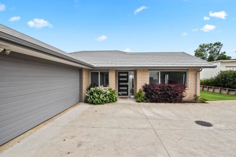 Photo of property in 157a Ellicott Road, Nawton, Hamilton, 3200