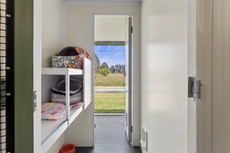 Photo of property in 1891 South Eyre Road, Eyrewell, Rangiora, 7476