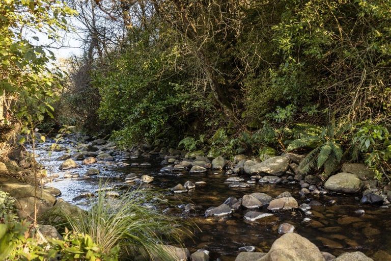 Photo of property in 59 Norwood Street, Normanby, Dunedin, 9010