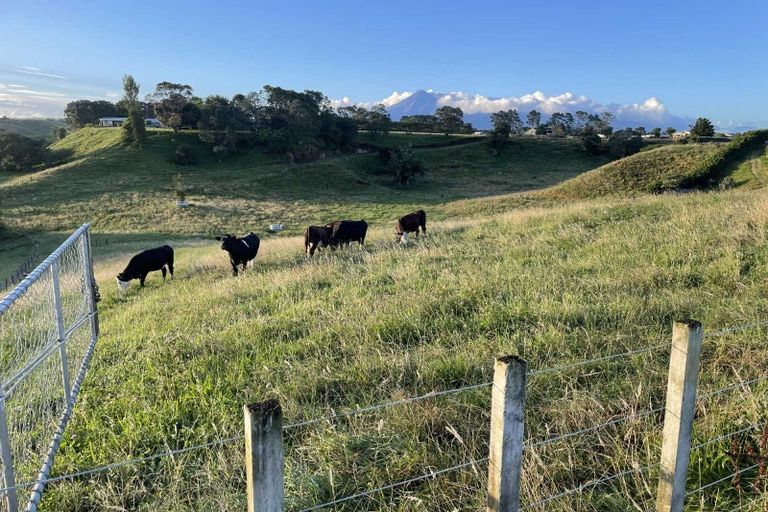 Photo of property in 187 Smart Road, Hillsborough, New Plymouth, 4372