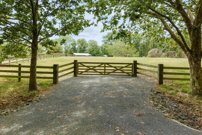 Photo of property in 31 Plane Tree Lane Lane, Ruatangata West, 0185