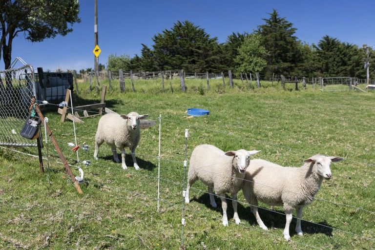 Photo of property in 449 Church Road, Kaitaia, 0482