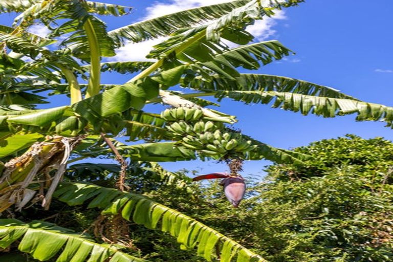 Photo of property in 19 Bracken Avenue, Te Aroha, 3320