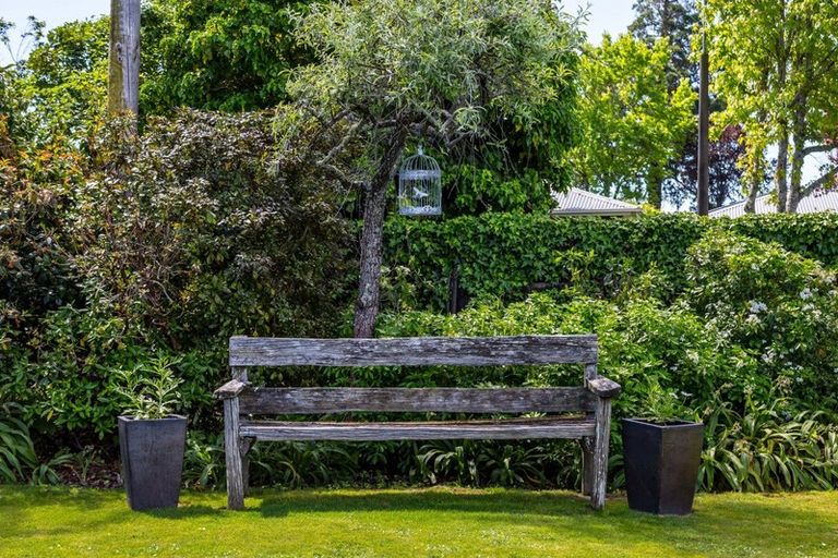 Photo of property in 31 Titoki Street, Lansdowne, Masterton, 5810