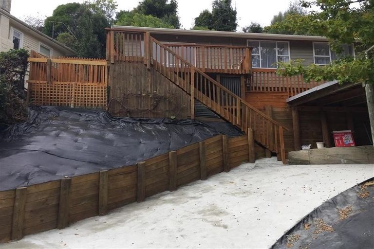 Photo of property in 51 Murphy Street, Toi Toi, Nelson, 7010