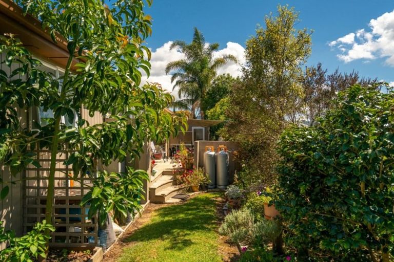 Photo of property in 13 Cook Drive, Whitianga, 3510