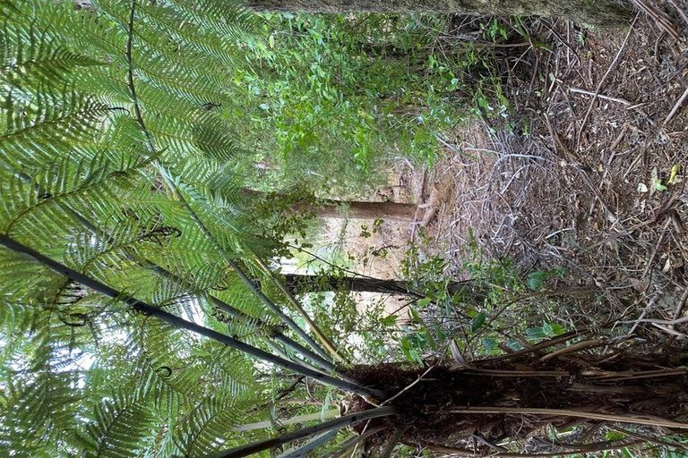 Photo of property in 46 Rangitane Loop Road, Kerikeri, 0294