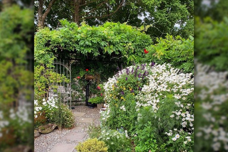 Photo of property in 20b Wood Street, Greytown, 5712