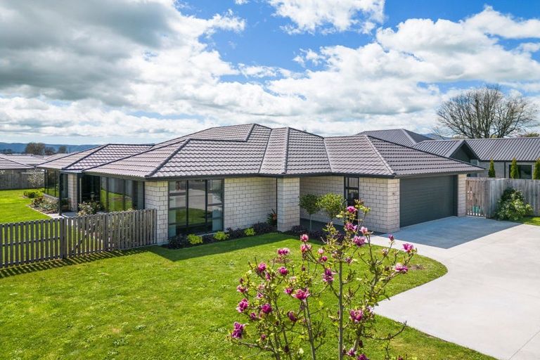 Photo of property in 31 Banks Road, Matamata, 3400
