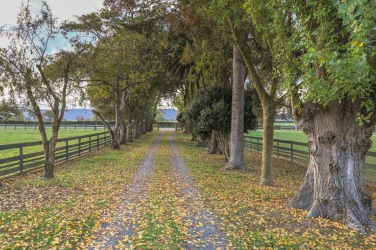 Photo of property in 228 Keith Road, Waerenga, Te Kauwhata, 3781