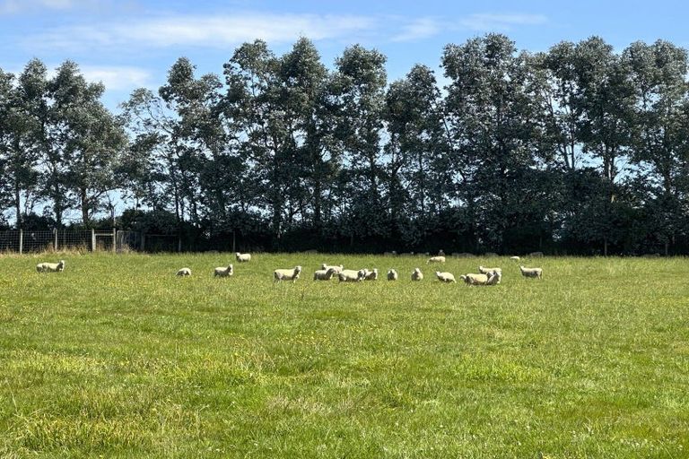 Photo of property in 385 East Road, Mill Road, Invercargill, 9871