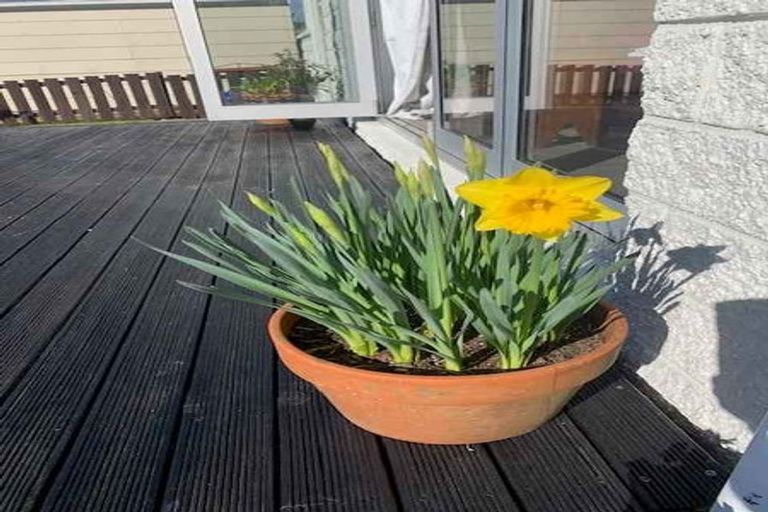 Photo of property in 42 Arnott Heights, Greymouth, 7805