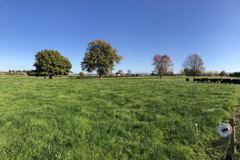 Photo of property in 34 Taihoa Road North, Matamata, 3473