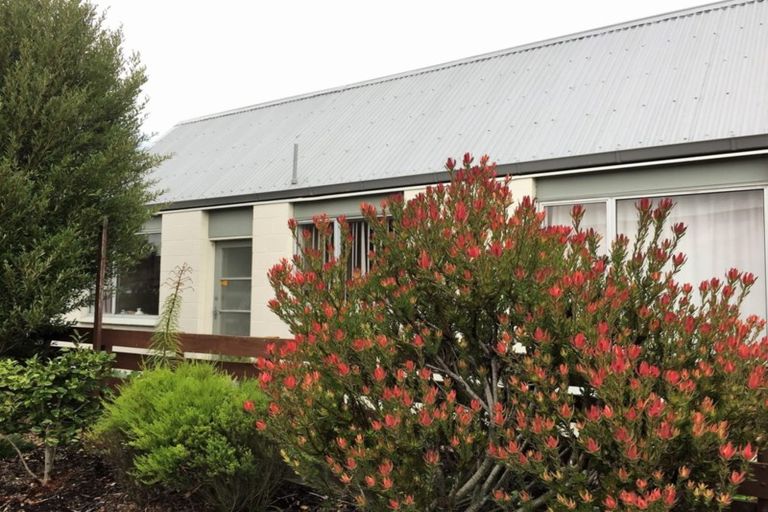 Photo of property in 17a Oxford Street, South Dunedin, Dunedin, 9012