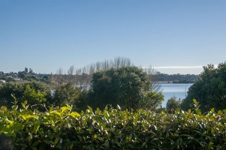 Photo of property in 1/29 Accadia Lane, Tauranga, 3110