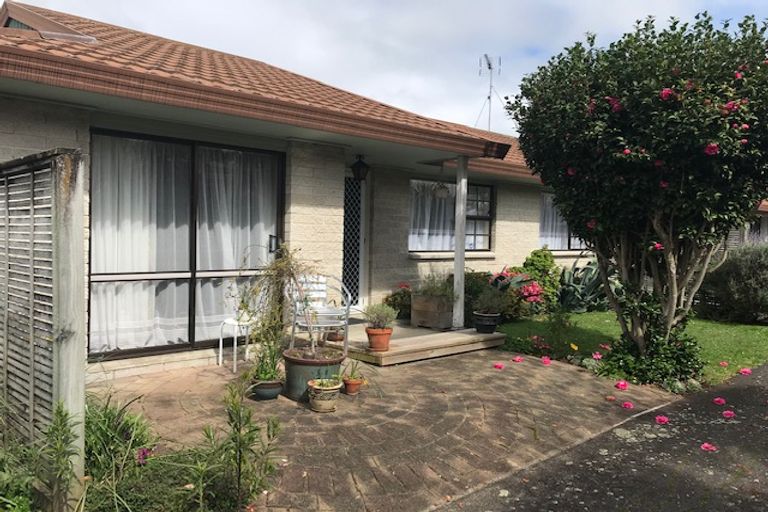 Photo of property in 56 Alison Street, Hamilton Lake, Hamilton, 3204