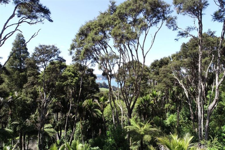 Photo of property in 41 Tarapatiki Drive, Whitianga, 3510