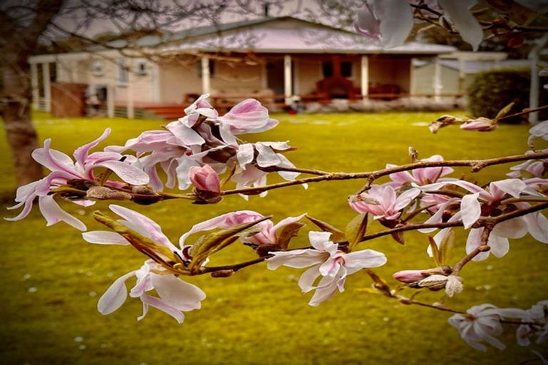 Photo of property in 587 Gladstone Road, Gladstone, Carterton, 5792