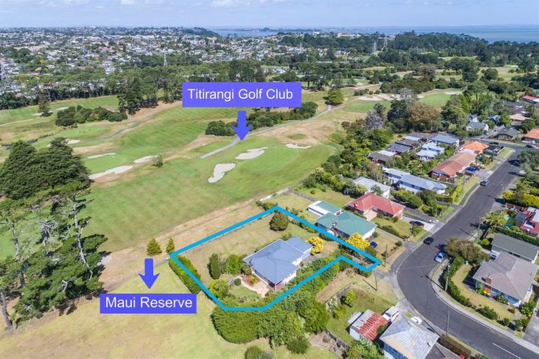 Photo of property in 12 Tane Street, New Lynn, Auckland, 0600