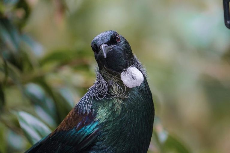 Photo of property in 5 Easdale Street, Kelburn, Wellington, 6012