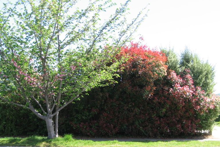 Photo of property in 2/62 Rotokawa Street, Taupo, 3330