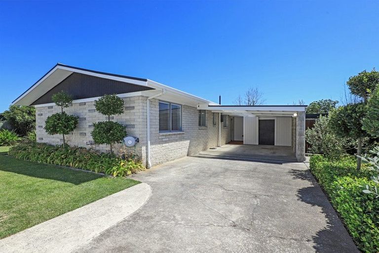 Photo of property in 11 Belmont Street, Havelock North, 4130