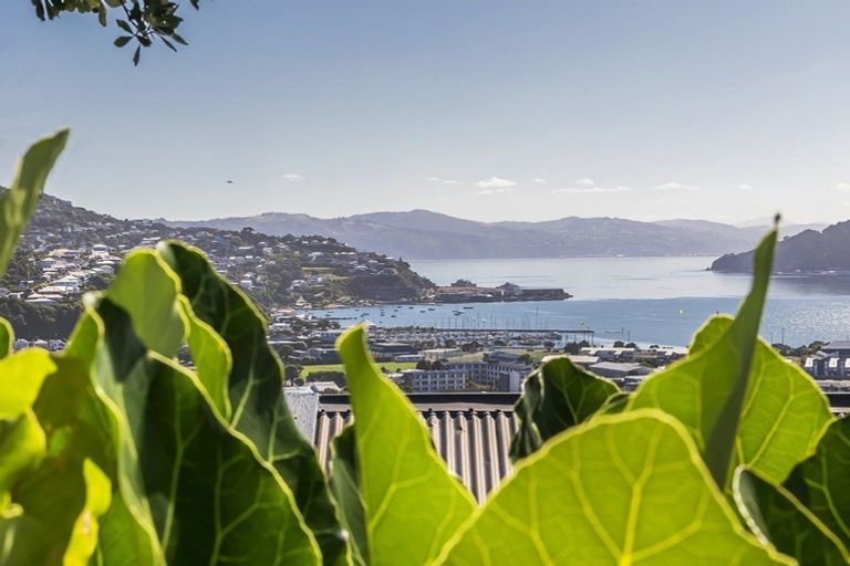 Photo of property in 38 Lerwick Terrace, Melrose, Wellington, 6022