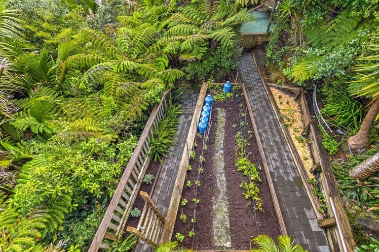 Photo of property in 24 Punga Place, Whitianga, 3510