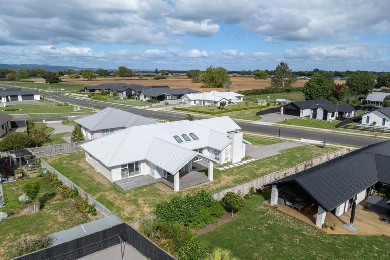 Photo of property in 24 Kaimai Drive, Matamata, 3400