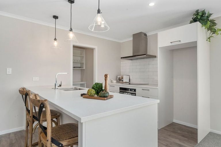 Photo of property in 68 Hinemoa Street, Levin, 5510