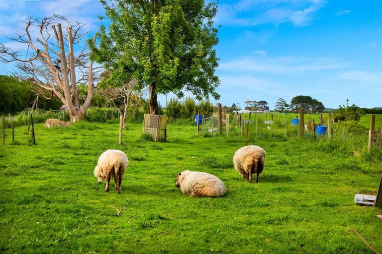 Photo of property in 593 Auroa Road, Auroa, Hawera, 4678