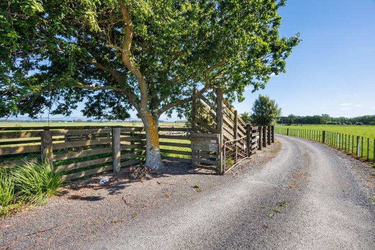 Photo of property in 851 Milson Line, Newbury, Feilding, 4775