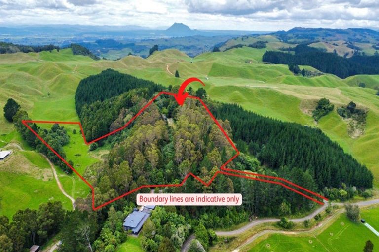 Photo of property in 563b Herepuru Road, Matata, Whakatane, 3194