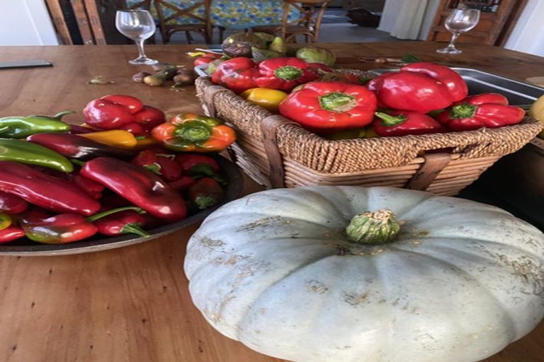 Photo of property in 291 Kaiwaka-mangawhai Road, Kaiwaka, Wellsford, 0975