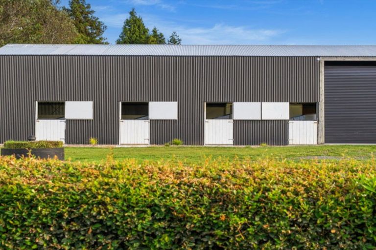Photo of property in 1235 Omanawa Road, Omanawa, Tauranga, 3171