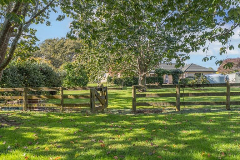 Photo of property in 81b Horrell Road, Morrinsville, 3374