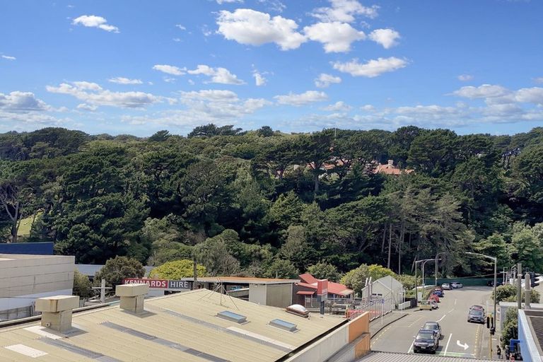 Photo of property in Hanson House, 11a/27 Hanson Street, Mount Cook, Wellington, 6021