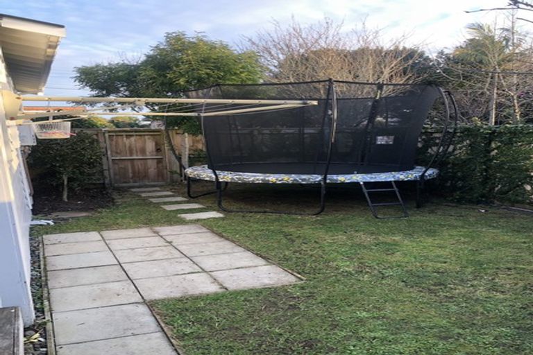 Photo of property in 9 Hazel Avenue, Mount Roskill, Auckland, 1041