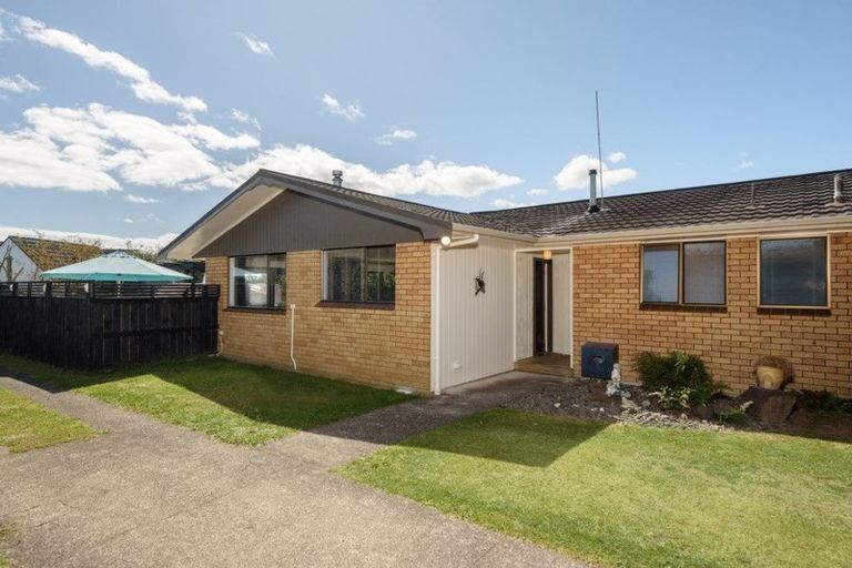 Photo of property in 16 Fenton Terrace, Te Puke, 3119
