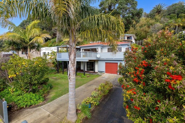 Photo of property in 80 Pohutukawa Avenue, Ohope, 3121