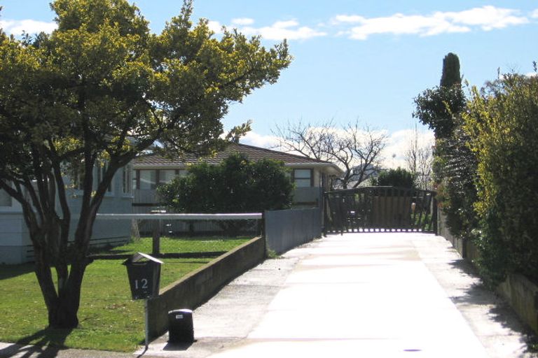 Photo of property in 12 Wallis Place, Onekawa, Napier, 4110